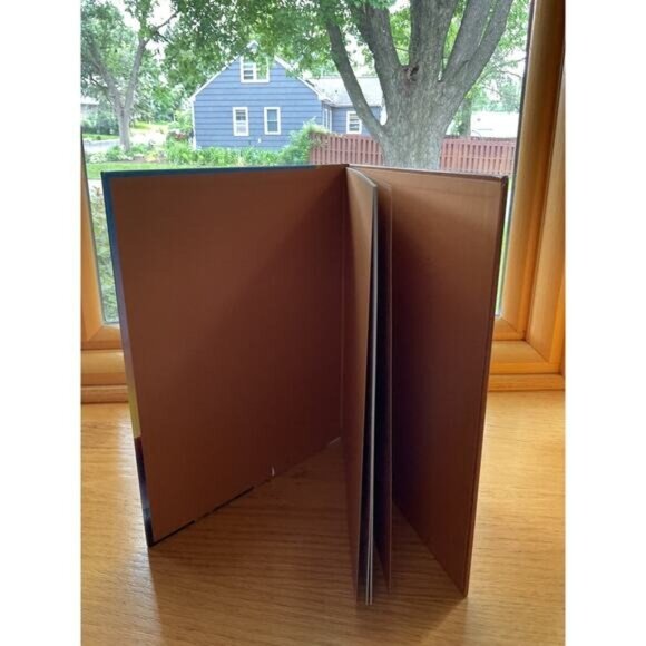 Disney Kohls Cares Lion King Simba Plush Toy & Story Book Set - Picture 8 of 9